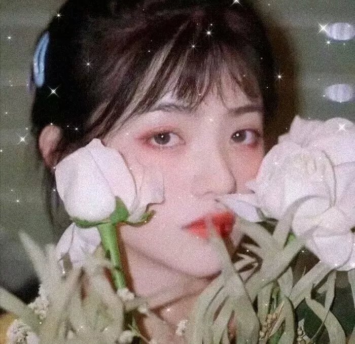 克隆高校第一季